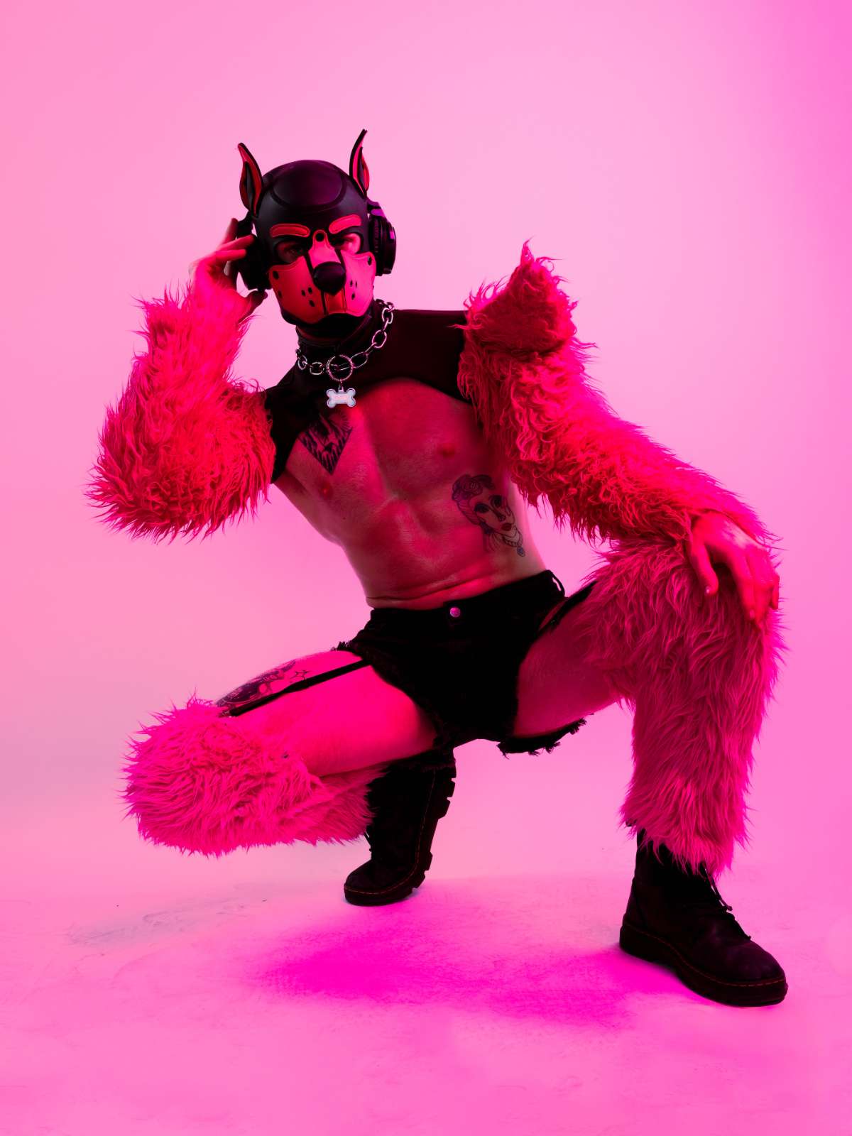 Sam The Tattoo Puppy